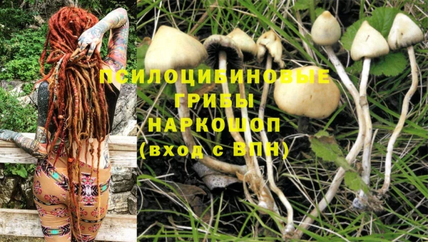 ГАЛЛЮЦИНОГЕННЫЕ ГРИБЫ Алексеевка