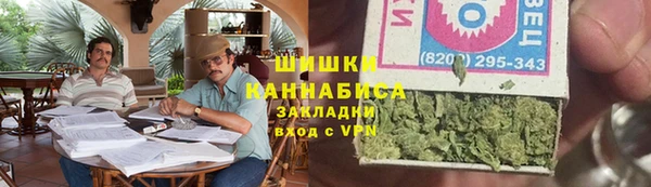 ГАЛЛЮЦИНОГЕННЫЕ ГРИБЫ Алексеевка